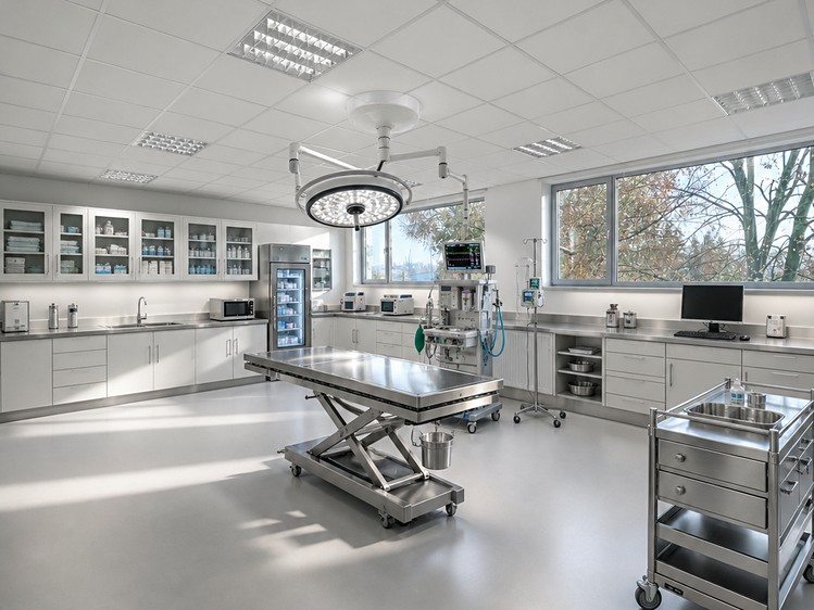 Pronájem ordinace 291 m² - foto 3