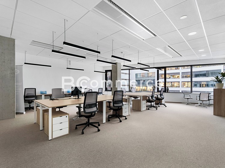 Pronájem kanceláře 310 m² - foto 3