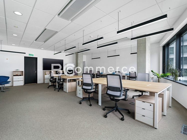Pronájem kanceláře 310 m² - foto 4