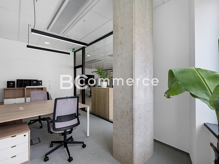 Pronájem kanceláře 310 m² - foto 8