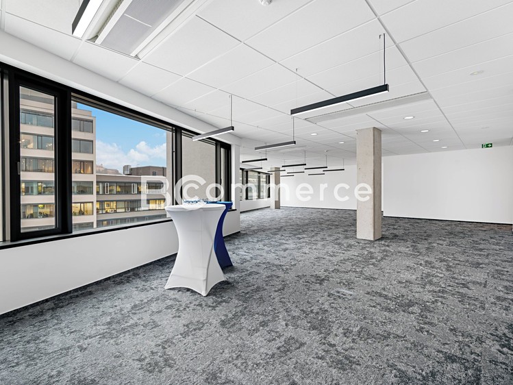 Pronájem kanceláře 310 m² - foto 6