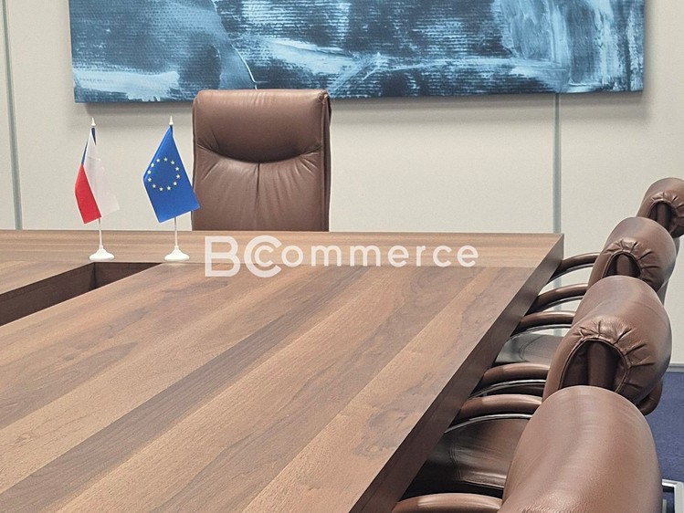 Pronájem kanceláře 240 m² - foto 5