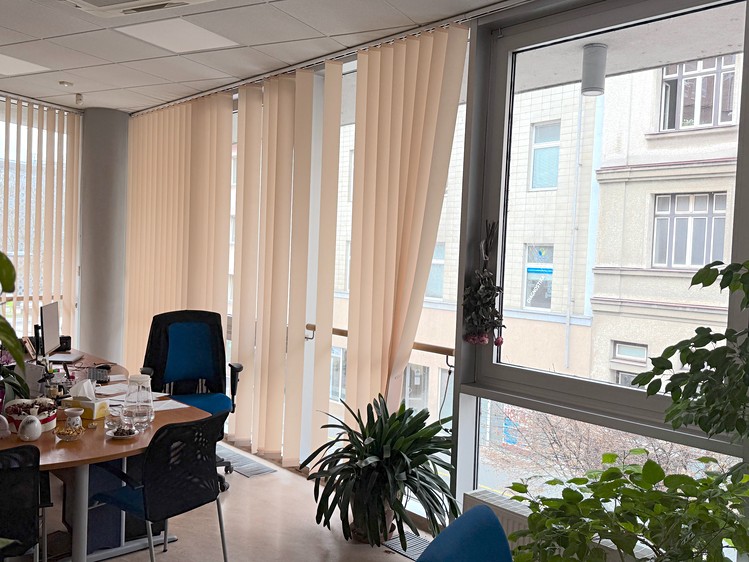 Pronájem kanceláře 273 m² - foto 4