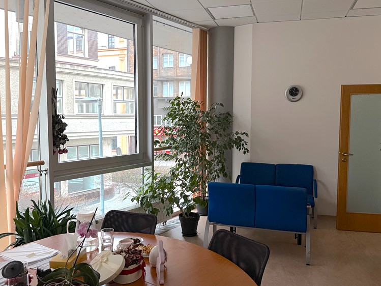 Pronájem kanceláře 273 m² - foto 5