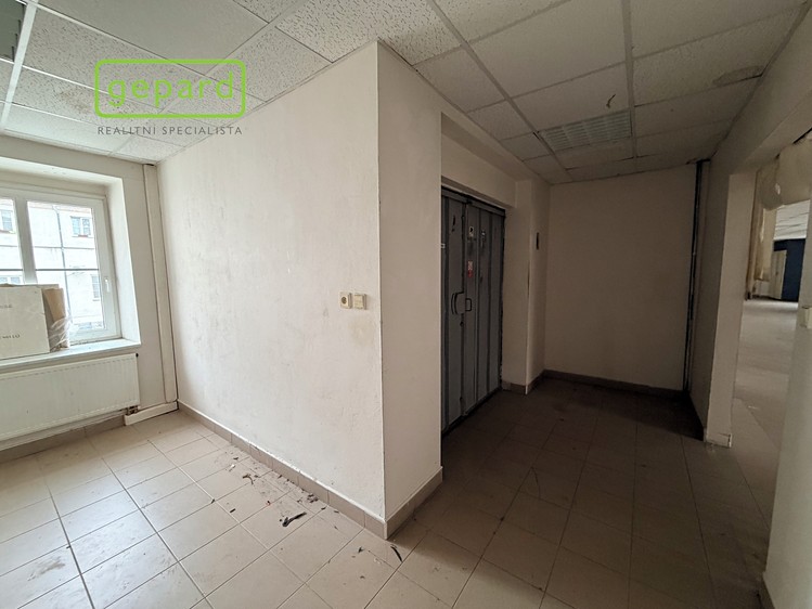Pronájem obchodního prostoru 305 m² - foto 4