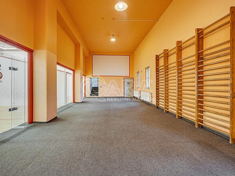 Pronájem komerční nemovitosti 290 m² - foto 3