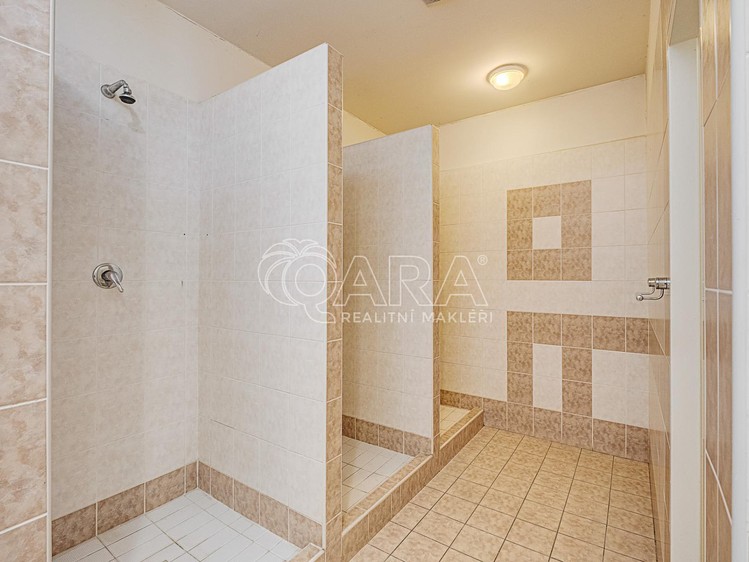 Pronájem komerční nemovitosti 290 m² - foto 6
