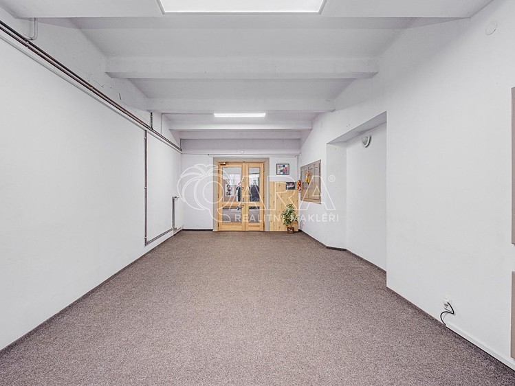 Pronájem komerční nemovitosti 290 m² - foto 8