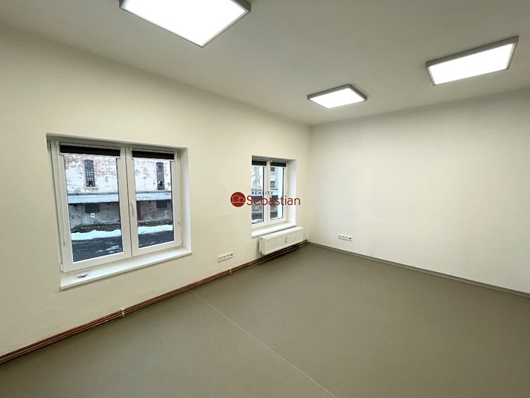 Pronájem obchodního prostoru 245 m² - foto 3