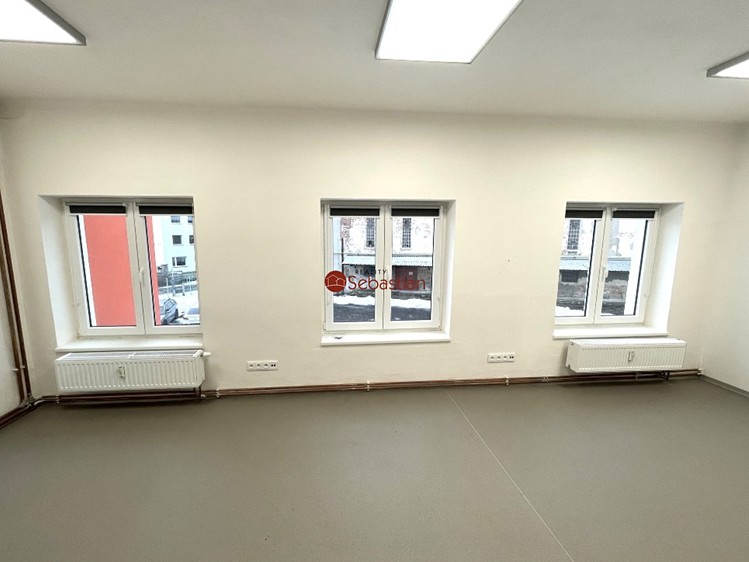 Pronájem obchodního prostoru 245 m² - foto 2