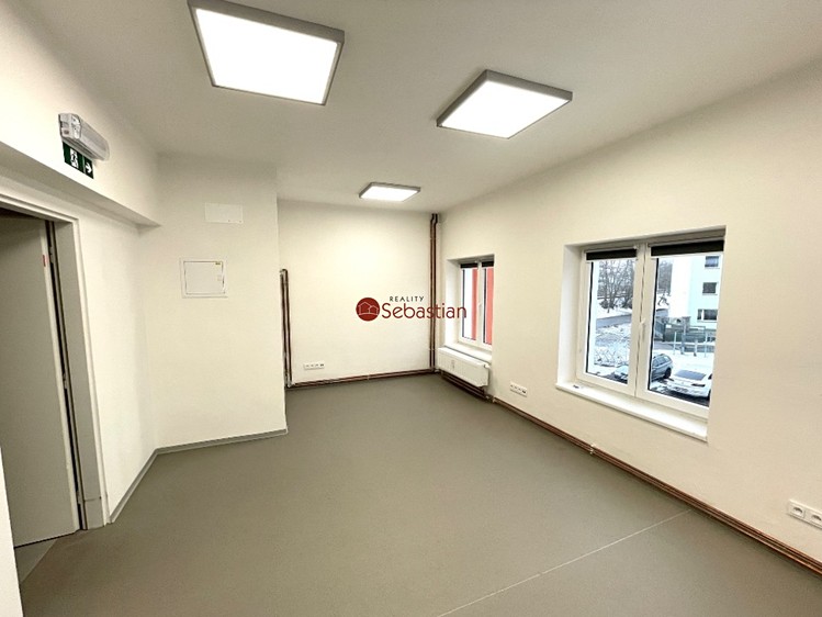 Pronájem obchodního prostoru 245 m² - foto 4