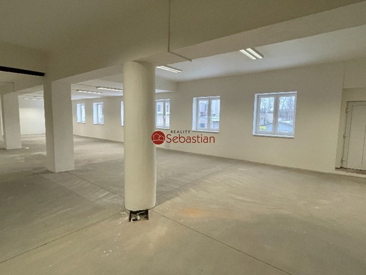 Pronájem obchodního prostoru 245 m² - foto 5