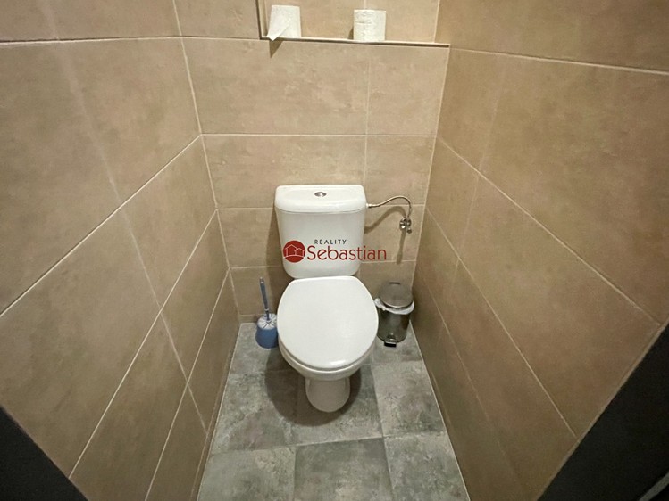 Pronájem obchodního prostoru 245 m² - foto 8