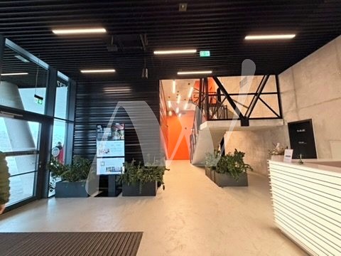 Pronájem kanceláře 700 m² - foto 6