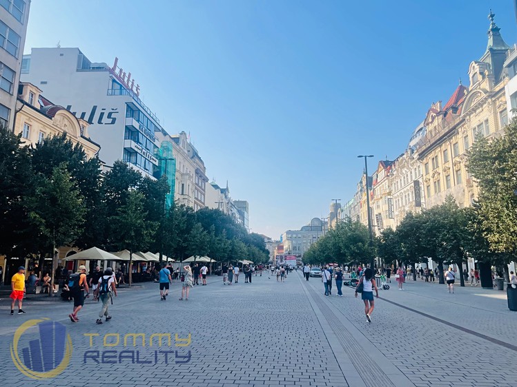 Pronájem obchodního prostoru 356 m² - foto 3