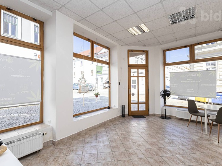 Pronájem obchodního prostoru 31 m² - foto 4
