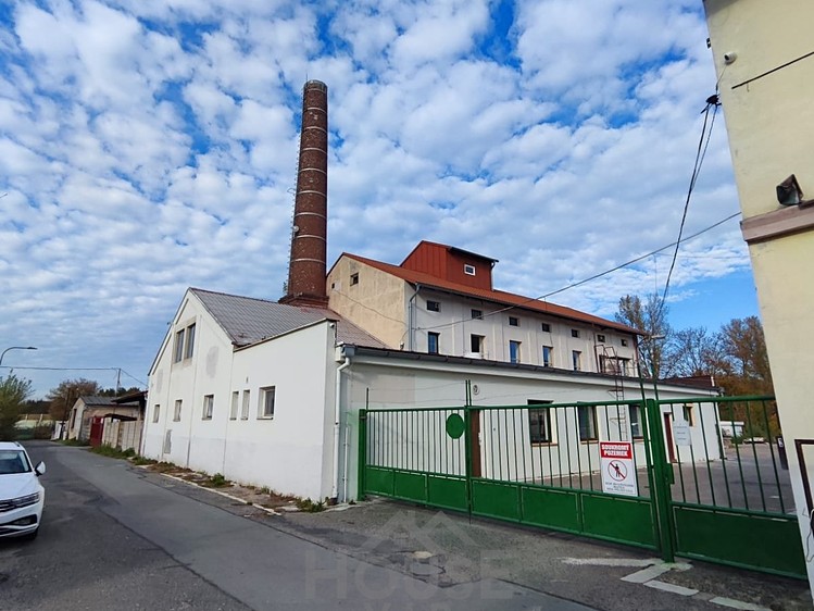 Pronájem obchodního prostoru 1 800 m² - foto 1
