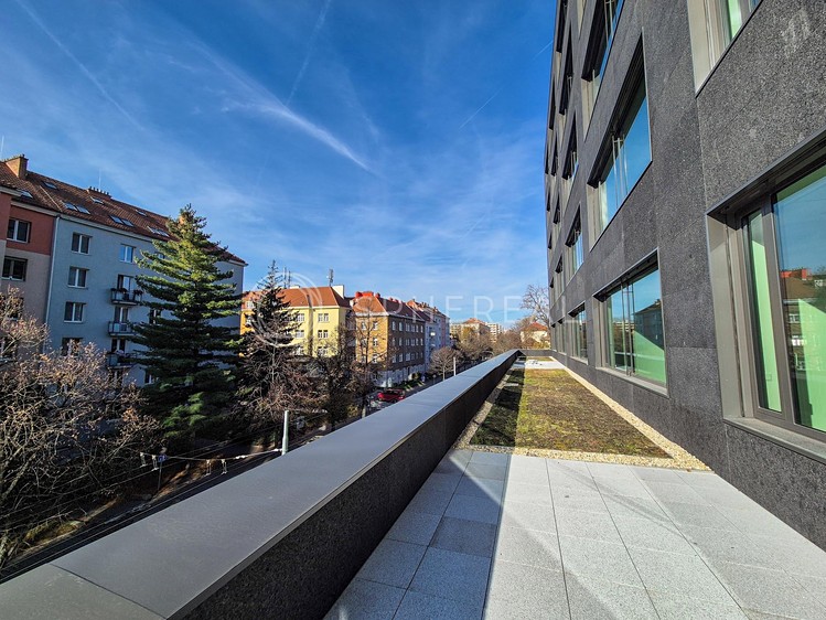 Pronájem kanceláře 1 800 m² - foto 6