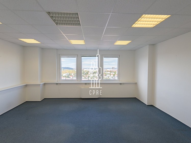 Pronájem kanceláře 150 m² - foto 5
