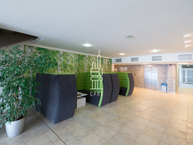 Pronájem kanceláře 150 m² - foto 8