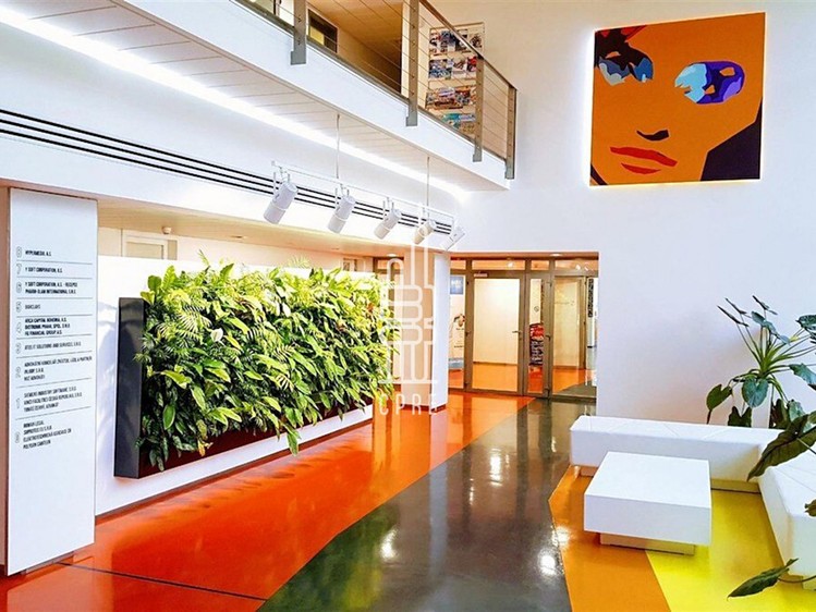 Pronájem kanceláře 475 m² - foto 8