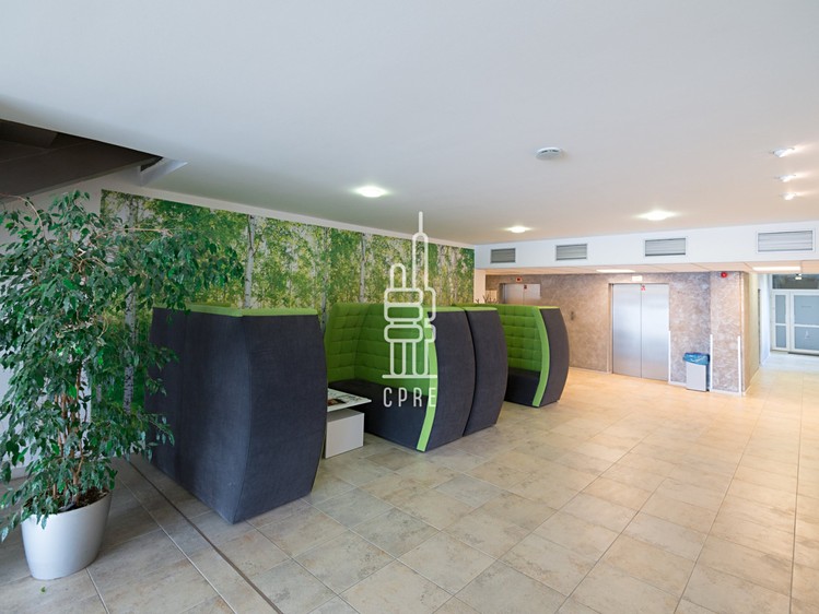 Pronájem kanceláře 162 m² - foto 8