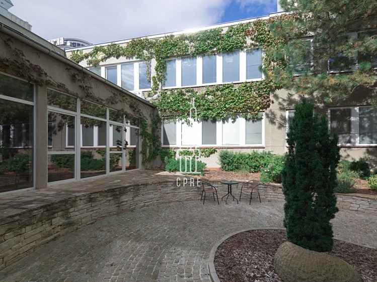 Pronájem kanceláře 325 m² - foto 8