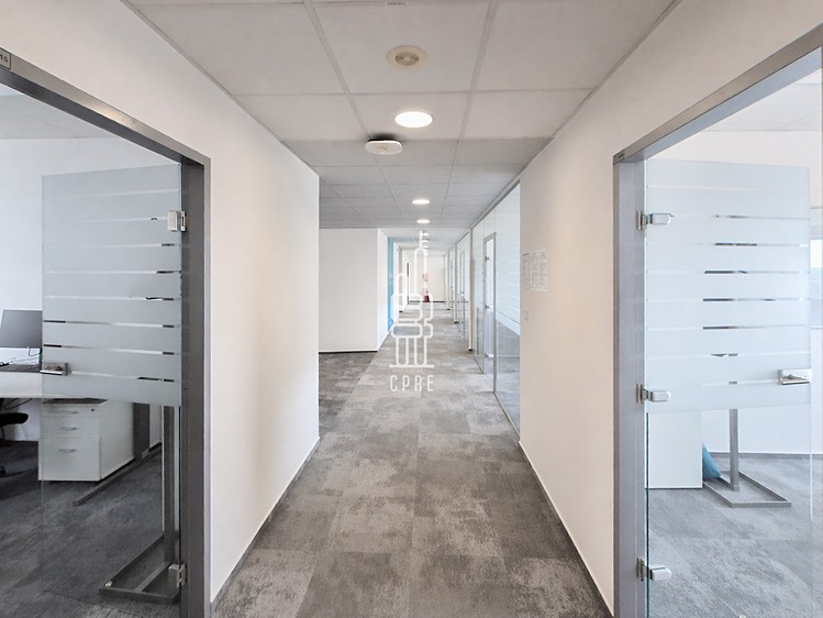 Pronájem kanceláře 756 m² - foto 8