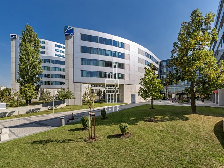 Pronájem kanceláře 1 577 m² - foto 6