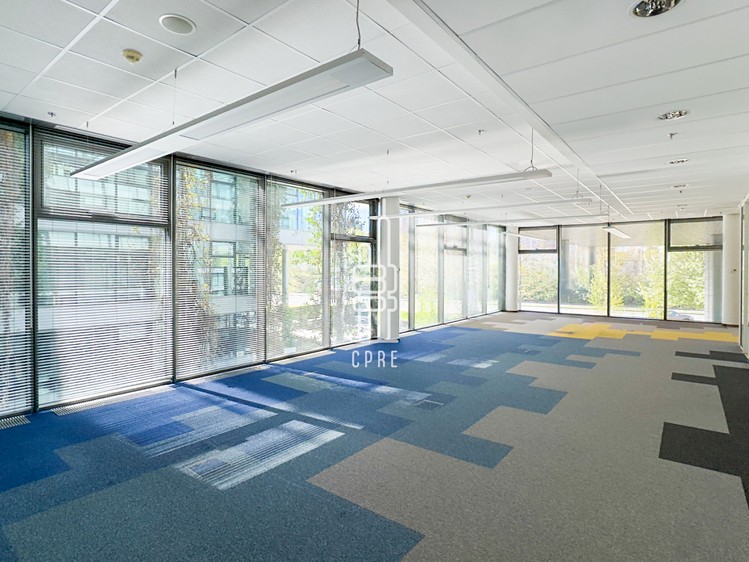 Pronájem kanceláře 302 m² - foto 4