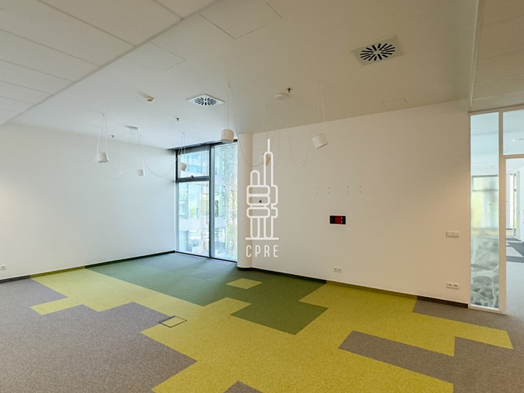 Pronájem kanceláře 302 m² - foto 6