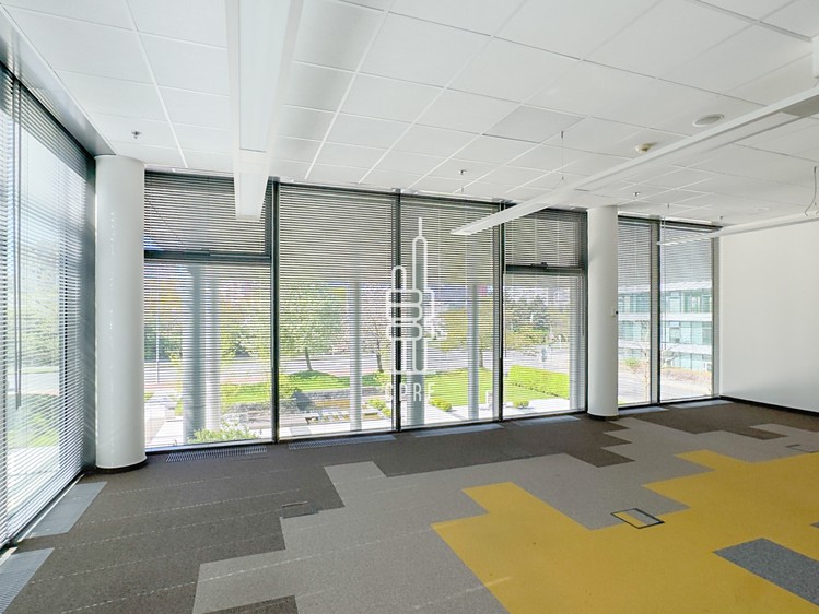 Pronájem kanceláře 302 m² - foto 5