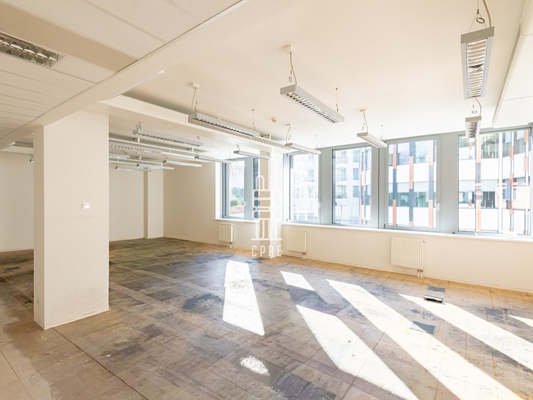 Pronájem kanceláře 423 m² - foto 7