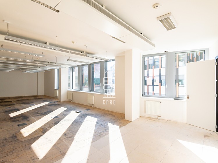 Pronájem kanceláře 423 m² - foto 6