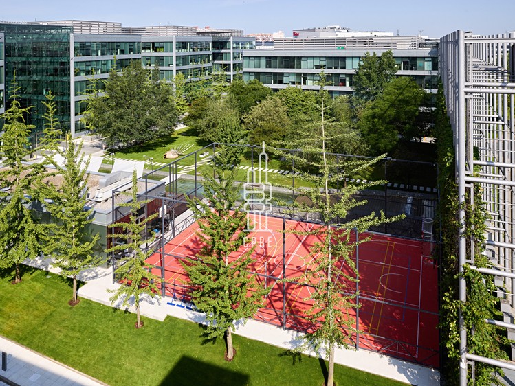 Pronájem kanceláře 1 085 m² - foto 7