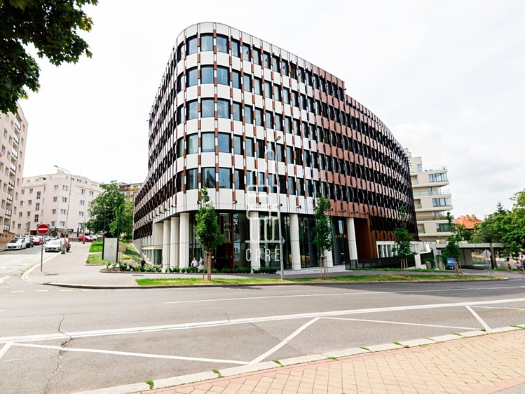 Pronájem kanceláře 243 m² - foto 1