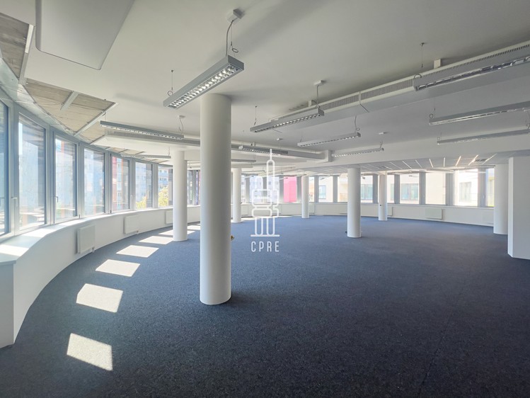 Pronájem kanceláře 243 m² - foto 5