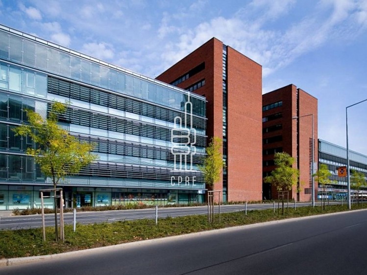 Pronájem kanceláře 650 m² - foto 1