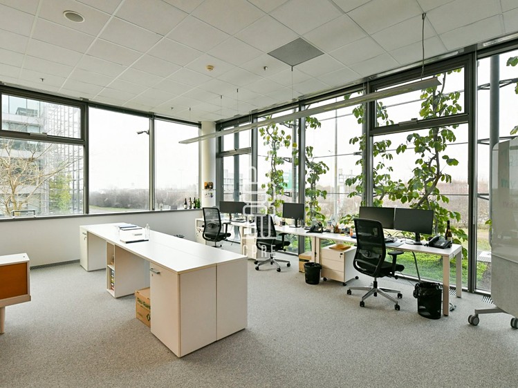 Pronájem kanceláře 2 041 m² - foto 4