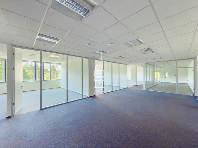 Pronájem kanceláře 902 m² - foto 6