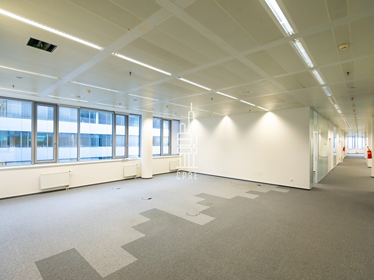 Pronájem kanceláře 651 m² - foto 7
