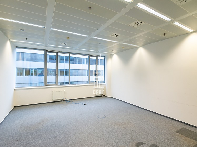 Pronájem kanceláře 651 m² - foto 6
