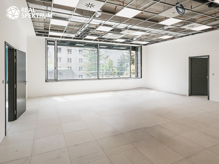 Pronájem kanceláře 472 m² - foto 8