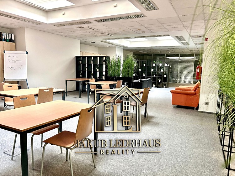 Pronájem kanceláře 974 m² - foto 4
