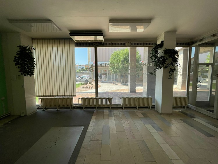 Pronájem obchodního prostoru 235 m² - foto 4