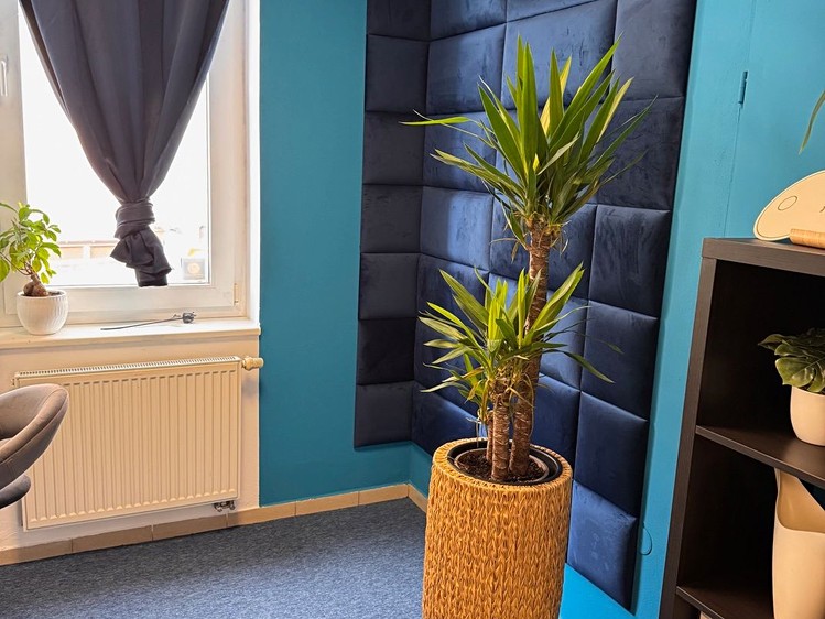 Pronájem obchodního prostoru 50 m² - foto 3