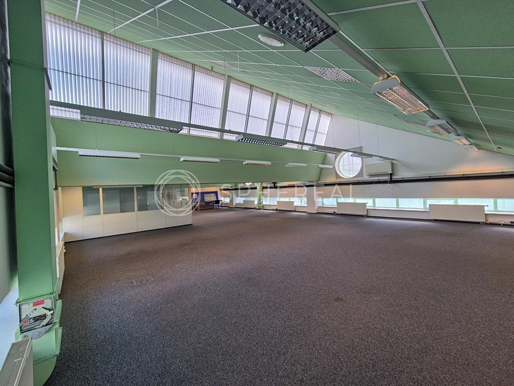 Pronájem kanceláře 2 000 m² - foto 4