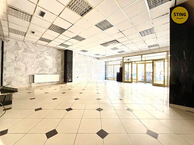 Pronájem obchodního prostoru 150 m² - foto 4