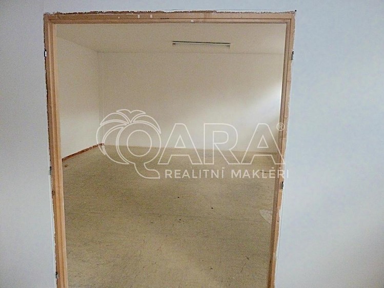 Pronájem obchodního prostoru 230 m² - foto 5