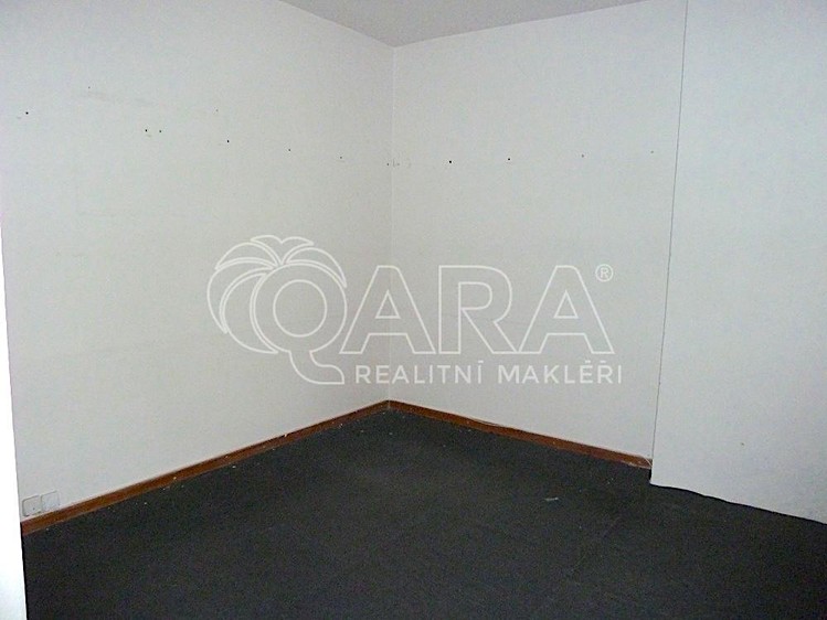 Pronájem obchodního prostoru 230 m² - foto 7